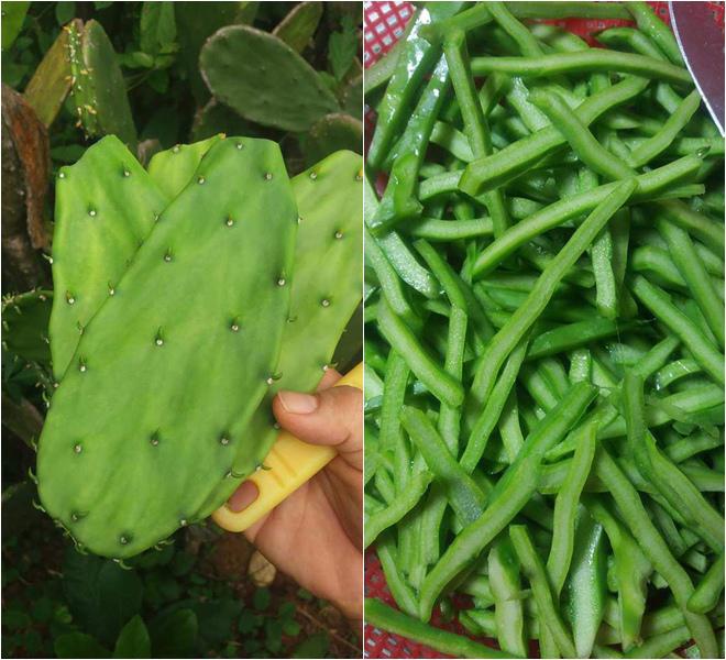 Lê Thúy về quê khoe đặc sản quê nhà, Lan Khuê trố mắt vì Canh lạ quá-5