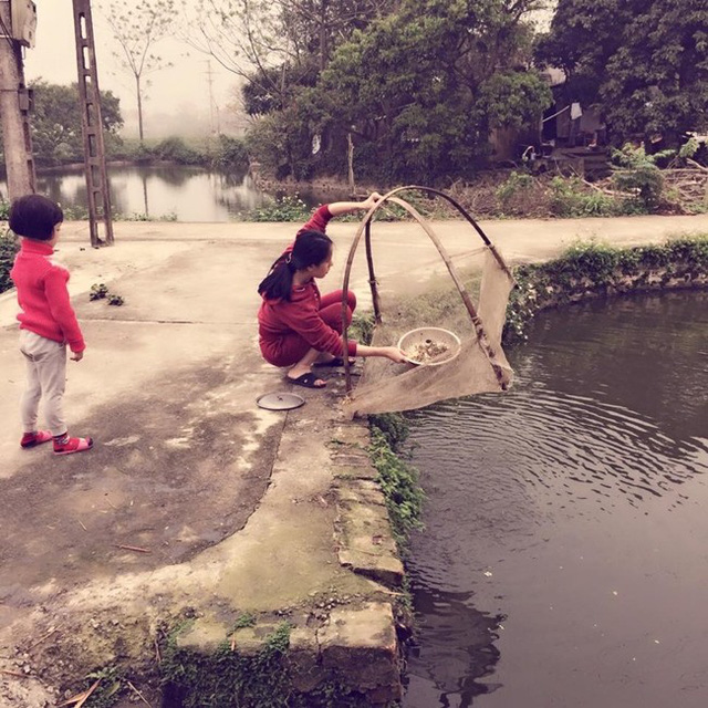 Hình ảnh trái ngược của các chân dài sang chảnh khi về quê cào lúa, rửa bát-6