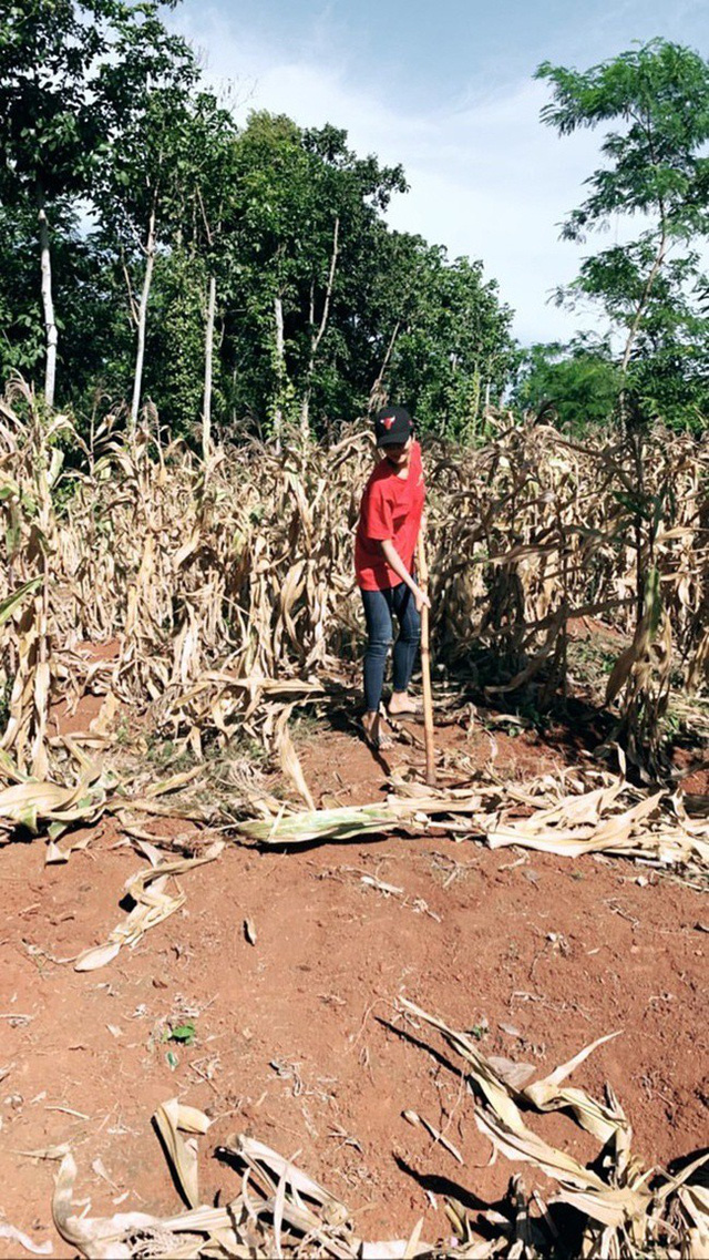 Hình ảnh trái ngược của các chân dài sang chảnh khi về quê cào lúa, rửa bát-7