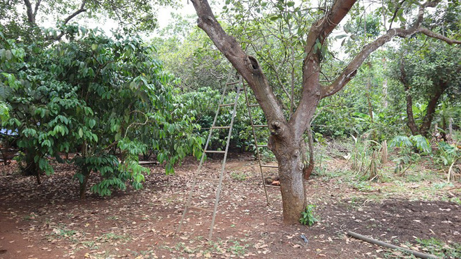 Thấy bạn thân ôm vợ mình trong bếp, người đàn ông dụ bạn qua nhà chém chết rồi treo cổ tự tử-1