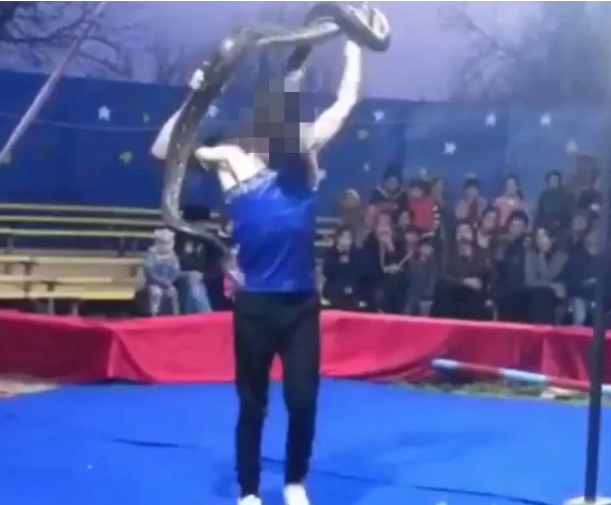 Nga: Diễn viên xiếc bị trăn siết cổ chết ngay trước mắt khán giả-2