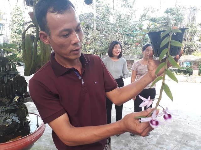 Mẩu phong lan 1 cm giá 9 triệu: Siêu lạ ở Thái Nguyên-1