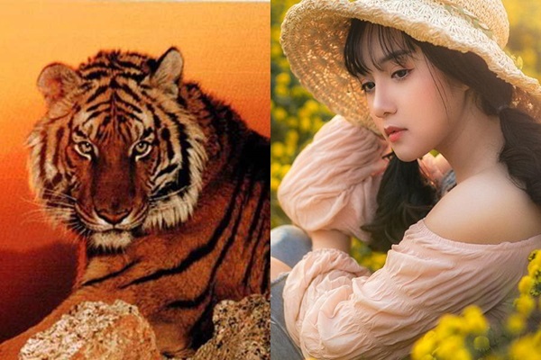 3 con giáp giàu sang CHẠM ĐỈNH: vàng đầy kho, tiền ngập két, tha hồ hưởng lộc trong 2 tháng tới-1