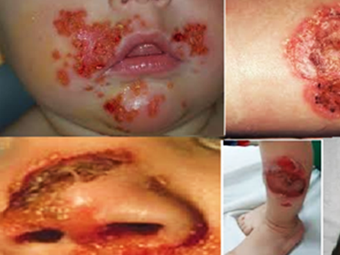 Thời tiết Hà Nội mát mẻ đến khi nào?-2