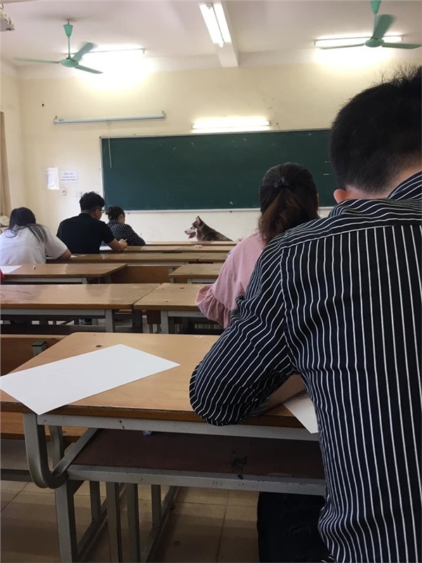 Nhân vật lạ xuất hiện trong phòng thi khiến sinh viên vừa ngỡ ngàng vừa buồn cười-1