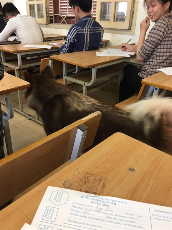 Nhân vật lạ xuất hiện trong phòng thi khiến sinh viên vừa ngỡ ngàng vừa buồn cười-2