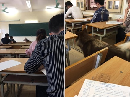 'Nhân vật lạ' xuất hiện trong phòng thi khiến sinh viên vừa ngỡ ngàng vừa buồn cười