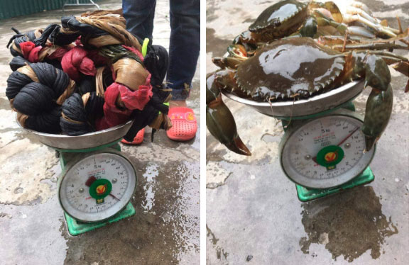 Mua 2kg cua được khuyến mãi 1,2kg dây: Cuộc đời em là một đường thẳng, chỉ vì gặp người bán cua mà khóc ròng-1