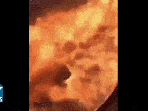 Video cơ phó liều mình cứu cơ trưởng trên máy bay Nga bốc cháy-5