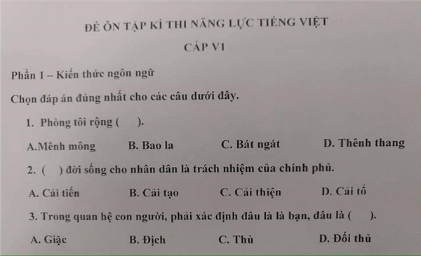 Dân mạng choáng váng với đề thi năng lực tiếng Việt tại Nhật: Bạn đúng được mấy câu?-2