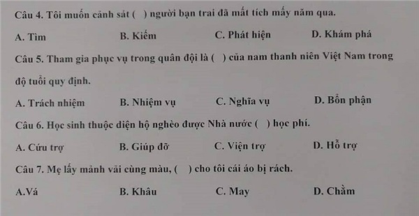 Dân mạng choáng váng với đề thi năng lực tiếng Việt tại Nhật: Bạn đúng được mấy câu?-3