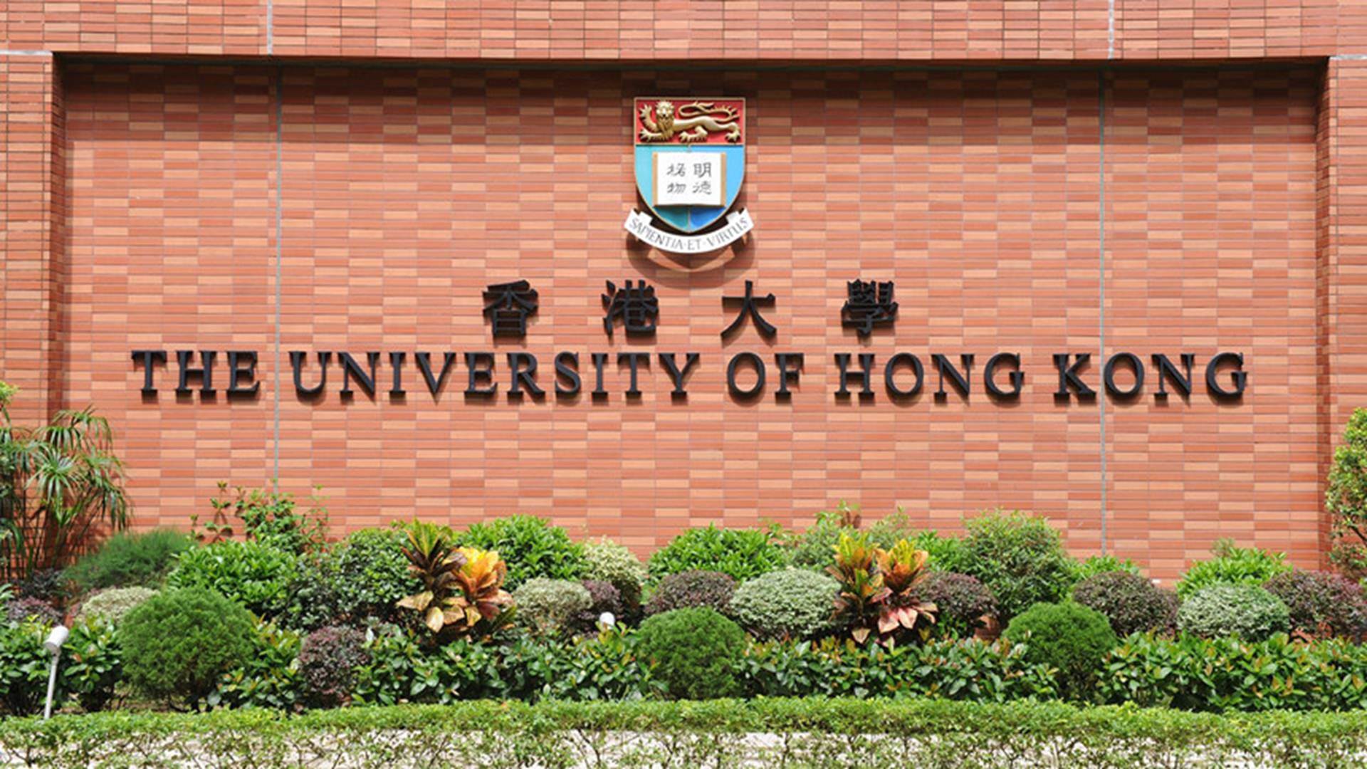 Trung Quốc dẫn đầu bảng xếp hạng trường đại học tốt nhất châu Á 2019-4