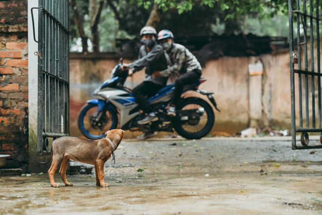 Bộ ảnh về nạn trộm chó đang gây xôn xao dư luận và sự quan tâm của dân tình. Xem ngay để hiểu rõ hơn về tình trạng này và cách phòng ngừa trộm chó cho thú cưng của bạn.