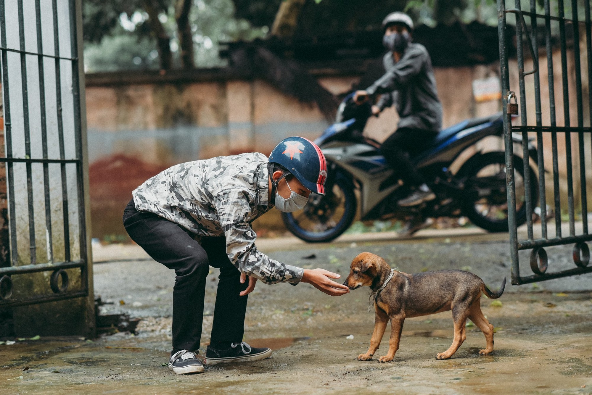 Nhóm bạn trẻ thực hiện bộ ảnh lên án nạn trộm chó khiến dân tình xôn xao-7