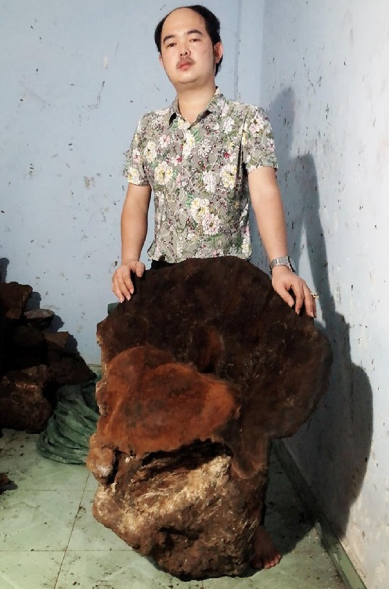 Cây nấm khủng hạng nhất Việt Nam: Nặng 70kg, 60 triệu chưa bán-1