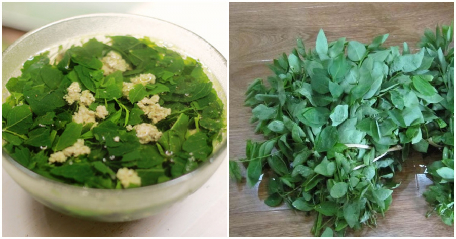 Đừng tưởng cứ rau ngót là lành, thấy điểm này là 99% mới bị phun thuốc, thèm mấy cũng chớ dại mà ăn-1