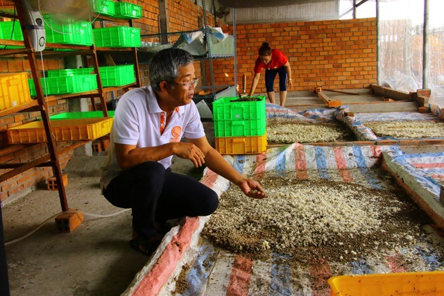 Đồng Tháp lạ nhất Việt Nam: Bán trứng ruồi 15 triệu/kg-2