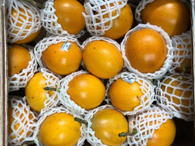 690.000đ/kg chanh leo Ecuador, giải khát chị em mê mệt-3