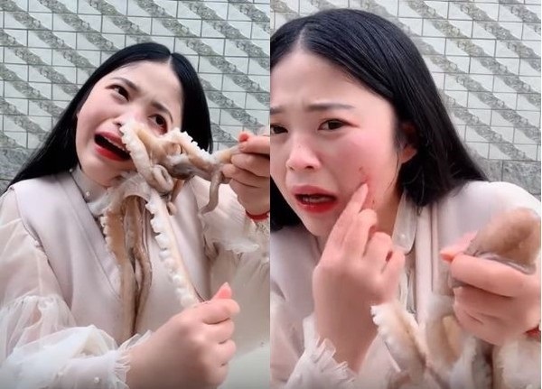 Livestream ăn bạch tuộc sống, cô gái bất ngờ bị bạch tuộc ăn lại và cái kết khiến cư dân mạng phẫn nộ-2