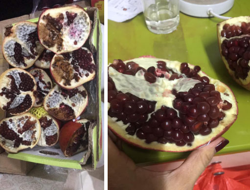 Mua cả thùng lựu nhập khẩu về ăn, mẹ bầu xót ruột vì hỏng toàn bộ, người bán đổ cho lựu sốc nhiệt không chịu đền-2