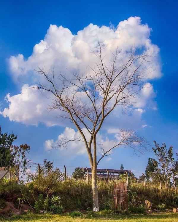 Những bức ảnh gây hại mắt, hại não khiến bạn phải nhìn lại đến lần thứ 2 mới nhận ra chân tướng sự thật-12