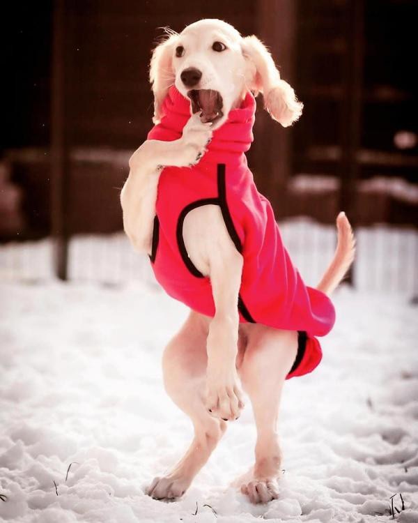 Những bức ảnh gây hại mắt, hại não khiến bạn phải nhìn lại đến lần thứ 2 mới nhận ra chân tướng sự thật-20