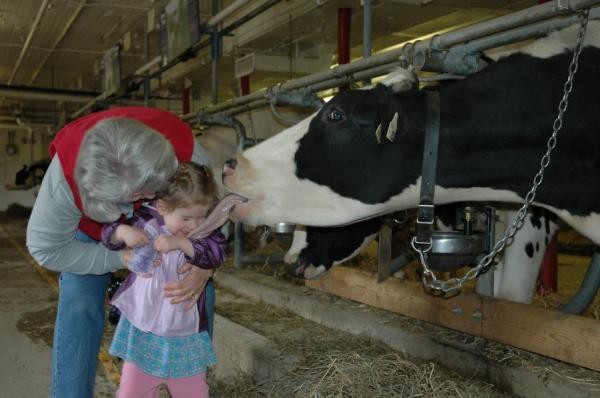 Những bức ảnh gây hại mắt, hại não khiến bạn phải nhìn lại đến lần thứ 2 mới nhận ra chân tướng sự thật-22