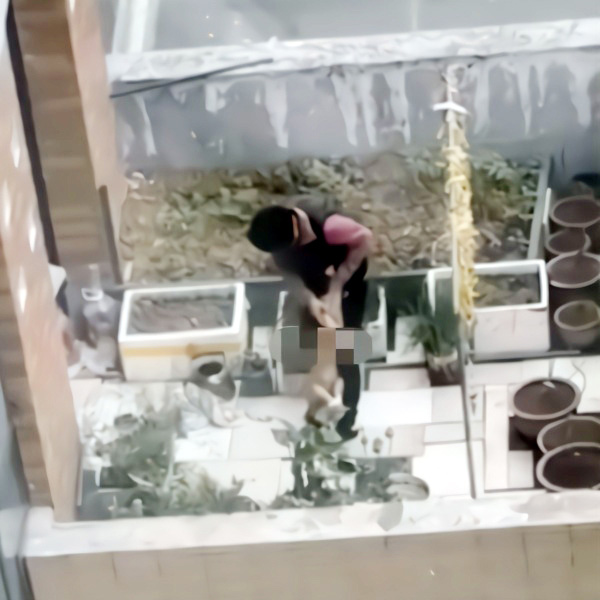 Bé trai 4 tuổi bị lột quần áo, trói tay, dốc ngược đầu xuống đất gây phẫn nộ-1