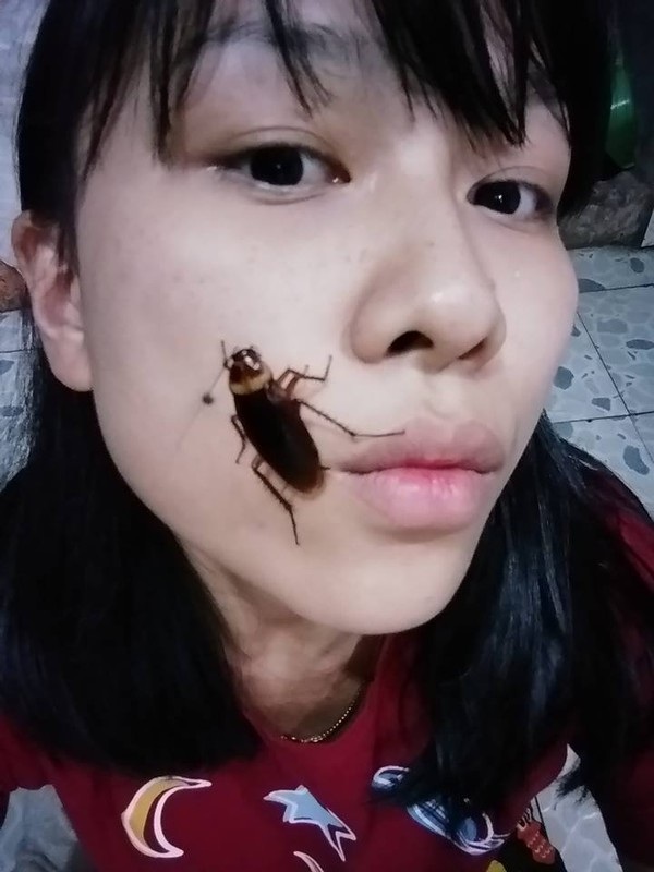 Sởn gai ốc trước thử thách đặt gián lên mặt làm khuynh đảo giới trẻ-3