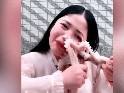 Clip cô gái nhận cái kết đau đớn khi cố gắng livetream ăn bạch tuộc sống