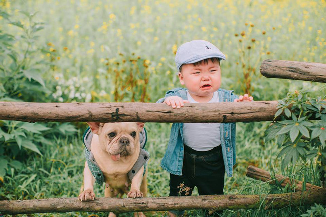 Cậu nhóc khóc ré ăn vạ khi phải chụp ảnh bên bạn chó: Dễ thương quá mức quy định rồi nhé!-6