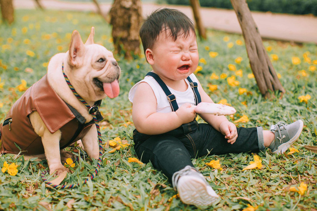 Cậu nhóc khóc ré ăn vạ khi phải chụp ảnh bên bạn chó: Dễ thương quá mức quy định rồi nhé!-7