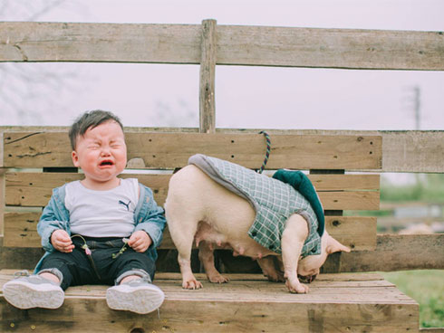 Xuất hiện chú chó có gương mặt siêu tếu táo, được ví như truyền nhân” của... Tôn Ngộ Không-9