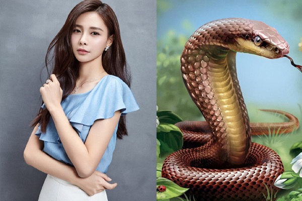 4 con giáp chỉ khi lấy chồng mới hưởng phúc giàu sang, tình tiền viên mãn, nhà xe bạc tỷ-3