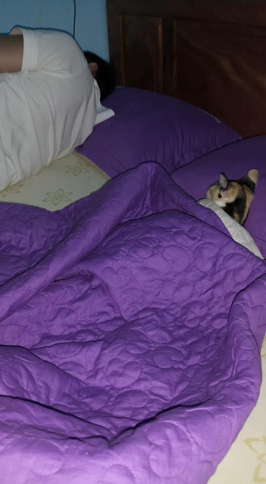 Mới sinh nên đẩy chồng sang phòng khác ngủ, vợ phát hiện kẻ thứ ba khi nửa đêm mở cửa-2