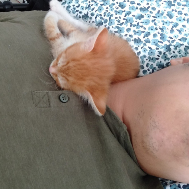 Mới sinh nên đẩy chồng sang phòng khác ngủ, vợ phát hiện kẻ thứ ba khi nửa đêm mở cửa-3