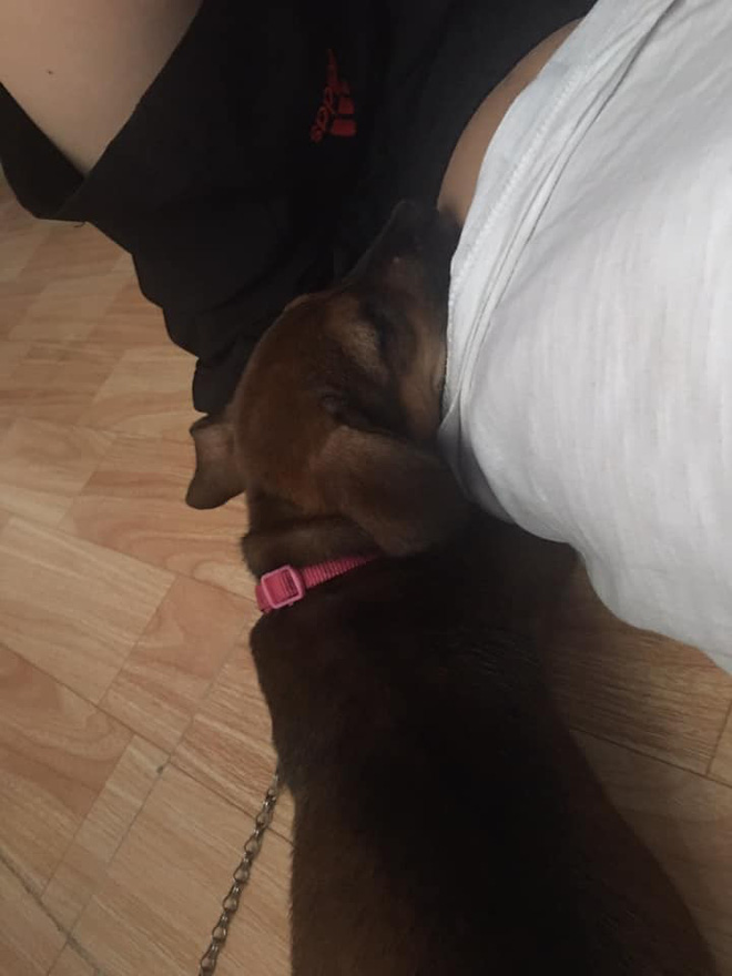 Mới sinh nên đẩy chồng sang phòng khác ngủ, vợ phát hiện kẻ thứ ba khi nửa đêm mở cửa-5