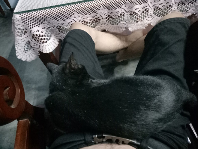 Mới sinh nên đẩy chồng sang phòng khác ngủ, vợ phát hiện kẻ thứ ba khi nửa đêm mở cửa-6