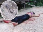 Bắt thanh niên sát hại người phụ nữ sống một mình trong nhà sàn ở Điện Biên-2