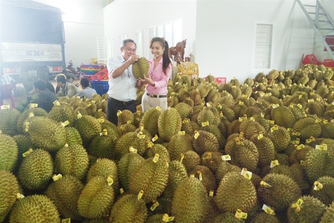 Động thái mới từ Trung Quốc, Việt Nam buộc phải đổi cách chơi-1