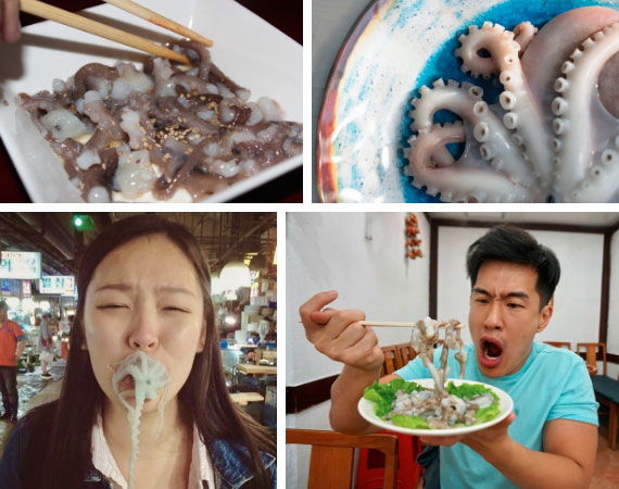 Livestream cảnh ăn bạch tuộc sống, cô gái xinh đẹp suýt bị đối phương nuốt chửng và sự thật kinh hoàng về món ăn này-5