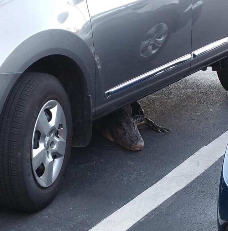 18 bức ảnh càng nhìn càng thấy sợ khiến bạn không khỏi rùng mình-4