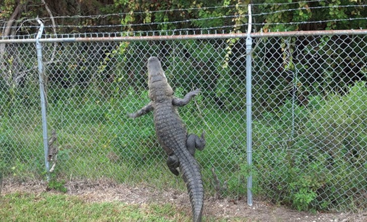 18 bức ảnh càng nhìn càng thấy sợ khiến bạn không khỏi rùng mình-5