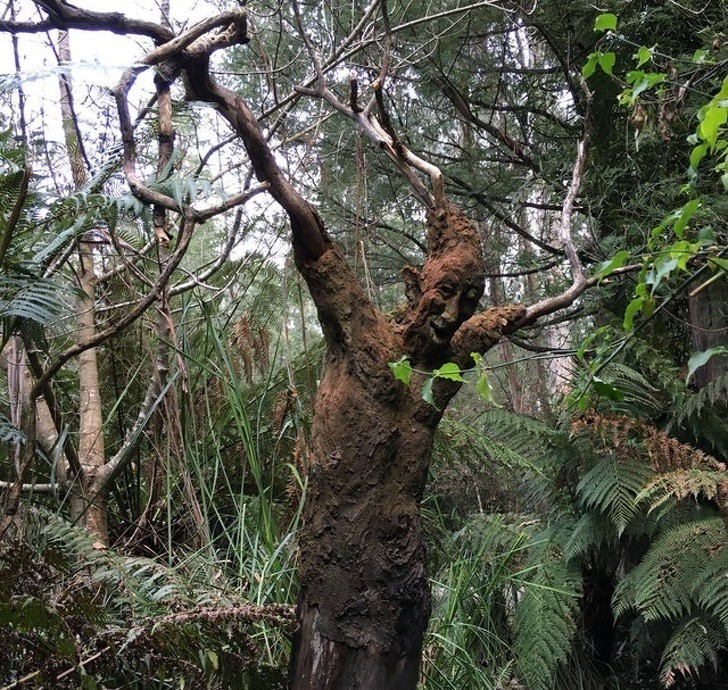 18 bức ảnh càng nhìn càng thấy sợ khiến bạn không khỏi rùng mình-8