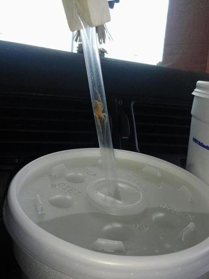 18 bức ảnh càng nhìn càng thấy sợ khiến bạn không khỏi rùng mình-12