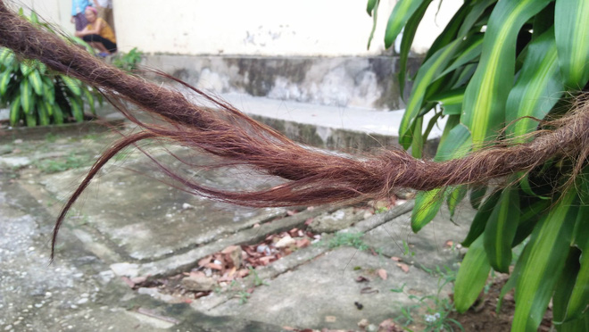 Cụ bà 94 tuổi với bộ tóc dài gần 4m ở Nghệ An tiết lộ lý do chưa gội đầu trong 65 năm qua-4