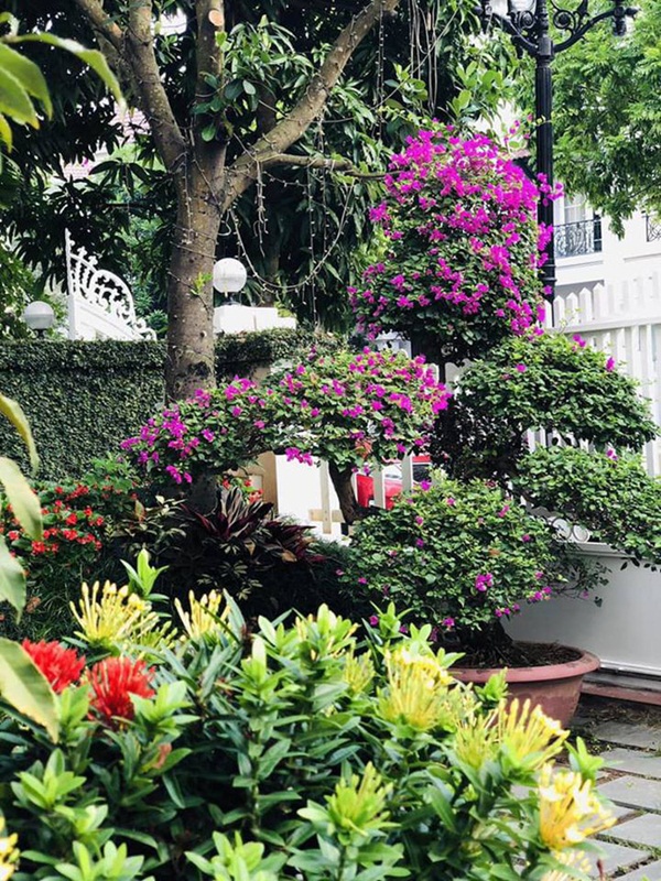 Bất ngờ với nhà của các MC nổi tiếng VTV Hoa Thanh Tùng, Nguyễn Hoàng Linh-3