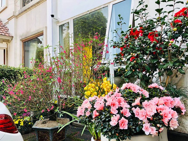 Bất ngờ với nhà của các MC nổi tiếng VTV Hoa Thanh Tùng, Nguyễn Hoàng Linh-4