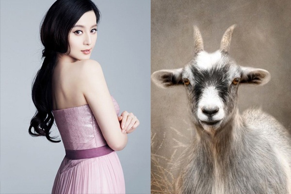 7 ngày tới: 3 con giáp làm đâu thắng đó, hứng bão tài lộc, tiền nhét đầy ví-2