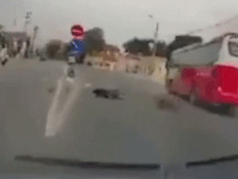 Vụ tai nạn oan trái dưới bánh xe buýt vì sự vô ý thức của một người đàn ông-1